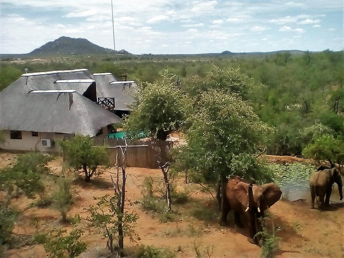 Lions Place Grietjie Game Reserve Exterior foto