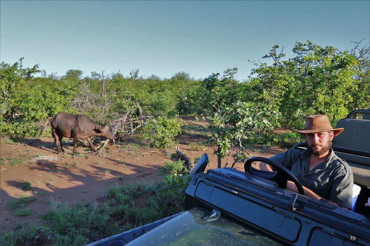 Lions Place Grietjie Game Reserve Exterior foto