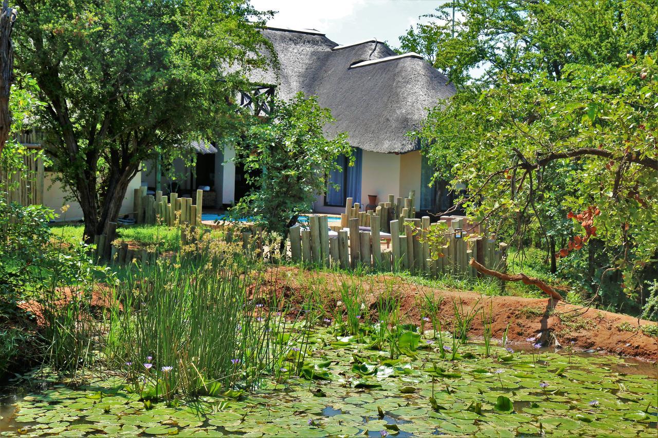 Lions Place Grietjie Game Reserve Exterior foto